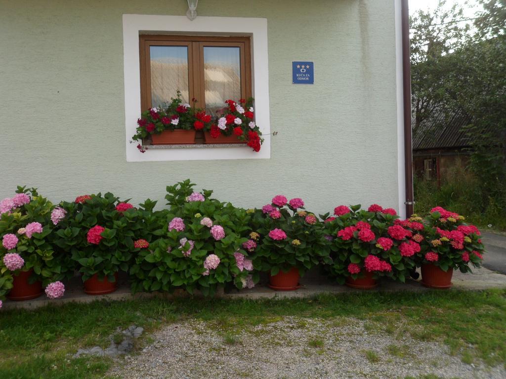 Vacation Home Kuca Za Odmor Красно Поле Стая снимка
